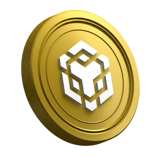 Binance BNB cryptocurrency munt op de pagina van de gids voor beginnende traders